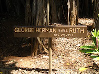 �C���[�W03