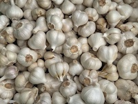 �C���[�W04